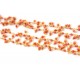 Chain Coral round stones 2- 3mm, Gold Plated