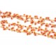 Chain Coral round stones 2- 3mm, Gold Plated