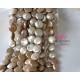 Gold Coin Fresh water pearls 12mm