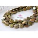Gold / rust green Coin Fresh water pearls 16 mm