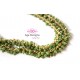 Chain Peridot green rondelles clusters 2- 3mm, Gold Plated