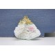 White Coral Pendant with gold bail 1