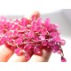 Pink Sapphire Stones