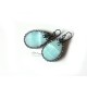 Brazil Amazonite Earrings